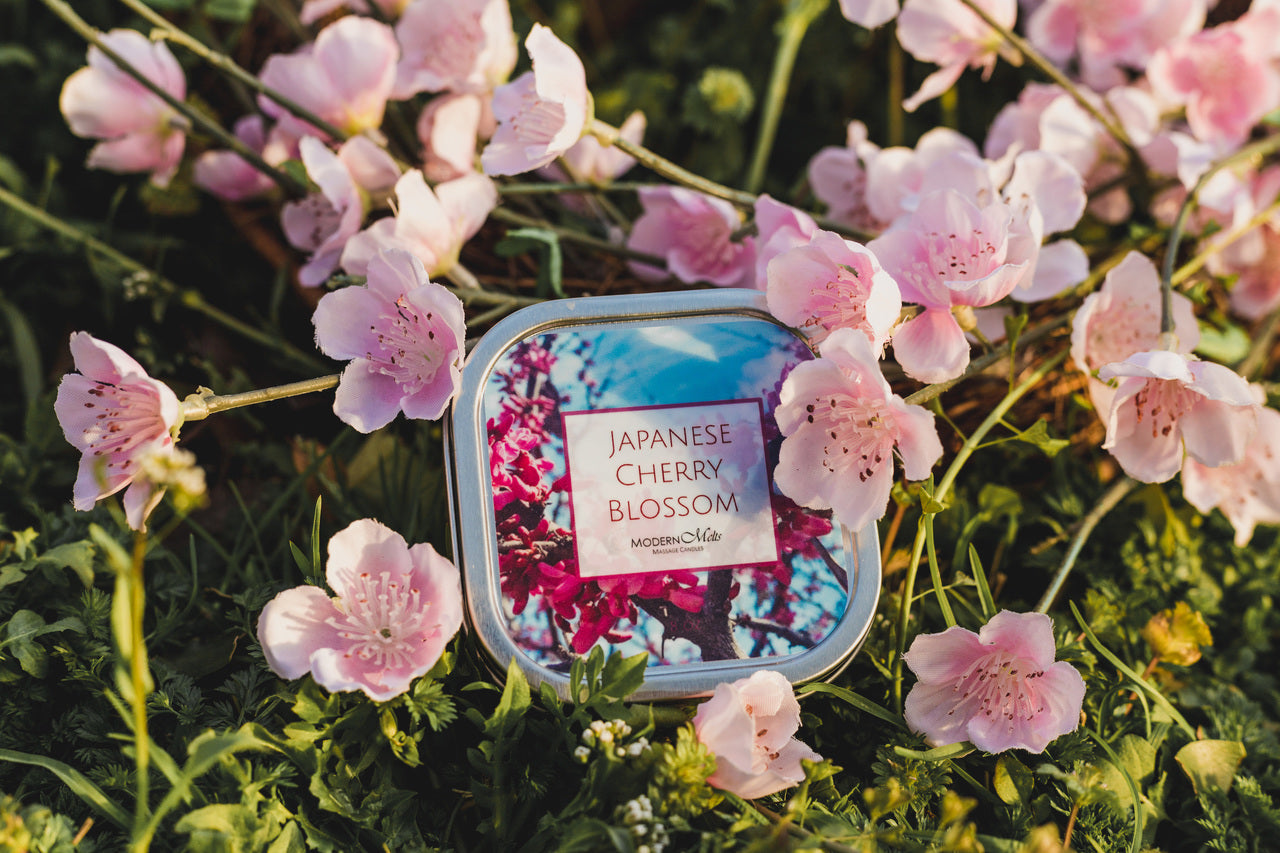 Japanese Cherry Blossom Massage Candle (4oz)